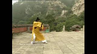 Three Treasures Wudang Form [upl. by Eem]