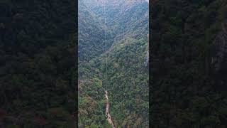 Zhangjiajie Grand Canyon Glass Bridge Bungee Jump [upl. by Ajdan244]