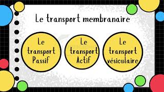 Vidéo 4 Membrane plasmique  Les transports membranaires [upl. by Ardnik]