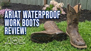 Ariat Hybrid Rancher Waterproof Work Boots REVIEW [upl. by Naesyar493]