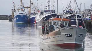 Early morning inshore boat action in Newlyn [upl. by Mil589]