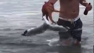 Man saves a seagull from being drowned by an octopus [upl. by Eiten418]