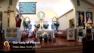 Polska Msza Live English Live Mass Polish Mass OLP Church [upl. by Grondin627]