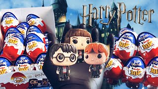 HARRY POTTER Kinder Joys💥Wir wollen sie Alle TikTok Trend [upl. by Merrick]