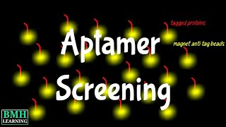 Aptamer Screening  Selection amp Enrichment Of Aptamers [upl. by Apthorp626]