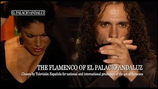 Flamenco Show  Tablao Flamenco El Palacio Andaluz [upl. by Wordoow270]