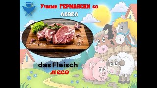 GERMANSKI za pocetnici so LEVEL  Lekcija 8 Das Fleisch Die Lebensmittel [upl. by Jacobsohn968]