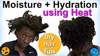 Hydrating amp Moisturizing Natural Hair w Heat  LOC Method on 4c Hair [upl. by Siravaj]