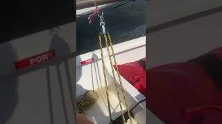 Tacking an opti sailboat opti subscribe shorts [upl. by Attevad818]