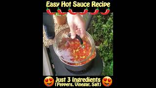 EASY Hot Sauce Recipe  Just 3 Ingredients [upl. by Seyer]