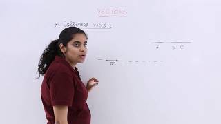 Class 12th – Collinear Vectors  Vector Algebra  Tutorials Point [upl. by Poppy]