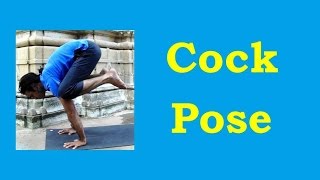 Cock Pose for Beginners  Kukkutasana in Hatha Yoga Arm Balance  2 Minutes Yoga Health [upl. by Reahard]