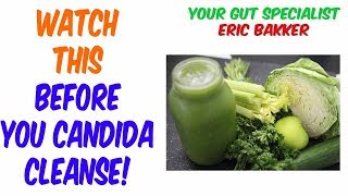 Candida Cleanse Precautions 6 Candida Cleanse Tips Before You Start Cleanse [upl. by Juback]