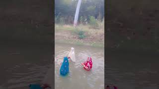 Ugte Suraj chattpuja motivation chattpooja motivational chathimaiya poetry happychathpuja [upl. by Brahear]