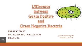 Grampositive vs Gramnegative ➕️➖️🤗🫡🙂‍↕️😌🤠🥸 [upl. by Ihdin]