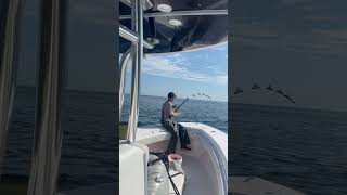 Down and tight garminmarine fishing garmin grundens alutecnos shimano bluefintuna [upl. by Annahtur]