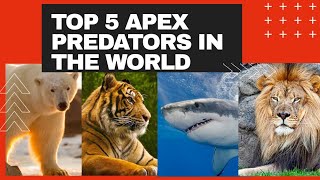 🦁TOP 5 Apex Predators In The World  TOP 5🦁 [upl. by Wershba]