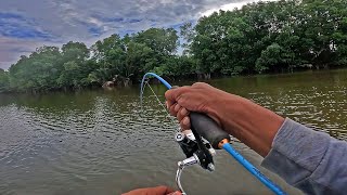 Baru Kali Ini Mancing Dapat Sambaran Bertubi2 Ikan Besar Berbisa [upl. by Anelleh384]