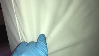 How Mattress Encasements Work Against Bed Bugs [upl. by Nayrbo]