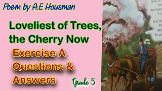 Poem  Loveliest of Trees the Cherry Now  Exercise A Question amp Answer New Oxford Modern English [upl. by Nofpets]