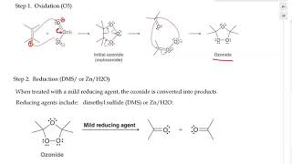 Organic Chemistry  Oxidative Cleavage of Alkene via Ozonolysis [upl. by Frederico575]