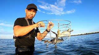 MANDURAH Blue Swimmer Crabs Perth Australia [upl. by Akenit]