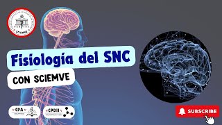 Fisiología del sistema nervioso central🧠 [upl. by Publius79]