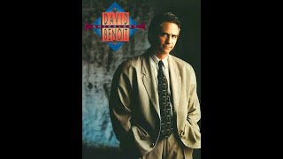 Take A Look Inside My Heart  David Benoit cover [upl. by Lamson]