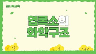 나무의사  엽록소의 화학 구조에 대해 설명해주세요  참나무교육 [upl. by Arley254]