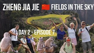 Exploring Zhangjiajie National Forest Park Day 2 Ep07 S02 [upl. by Harbison]