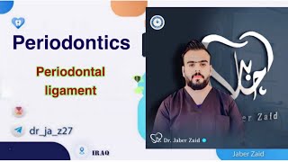 Periodontics   periodontal ligament [upl. by Dusa]