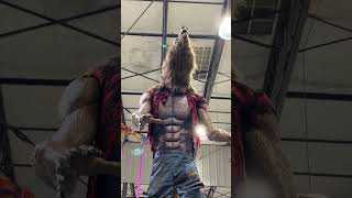 Animated Werewolf with sound and Light costco [upl. by Chicky]