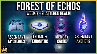 Shattered Realm Forest of Echoes  Ascendant Trivial Enigmatic Mysteries Data Caches  Destiny 2 [upl. by Aihppa758]