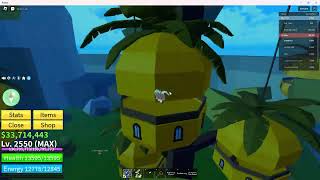 All Torch Locations for Tushita Puzzle  Blox Fruits [upl. by Nicky]