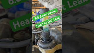 Typical Ford 60 Powerstroke Head Gasket Issues [upl. by Yevrah939]