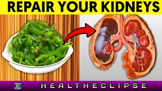 Top 6 SuperFoods That Help Stop Proteinuria And Heal Your Kidneys [upl. by Livia]