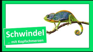 Schwindel mit Kopfschmerzen [upl. by Butte]