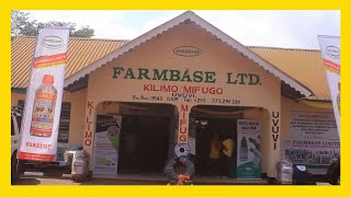 TBC88 FARMBASE INAKULETEA PEMBEJEO BORA ZA KILIMO [upl. by Leeke801]