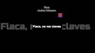 Flaca  Andres Calamaro  LetraLyric rock andrescalamaro musica lyrics music [upl. by Laurice]