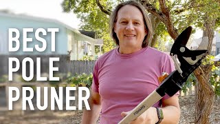 Best Pole Pruner 2023 Affordable Homeowner Version [upl. by Niel]