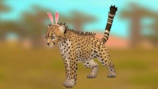 Finally buyed my favorite pet cheetah [upl. by Tuddor768]