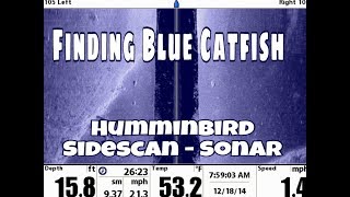 Finding Blue Catfish on Sonar with Catfish Guide Michael Littlejohn Lake Tawakoni [upl. by Won]