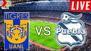 UANL Tigres vs Puebla Live Score l Liga Mx apertura 2024 [upl. by Germaun267]