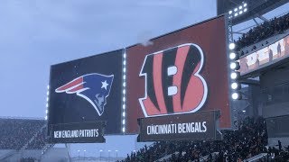 Bengals vs Patriots AFC Championship Game [upl. by Arihs]