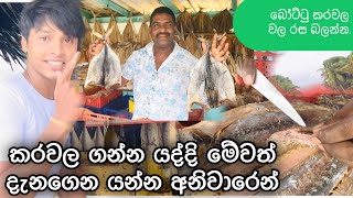 බෝට්ටු කරවල වල කාලා බලන්න රස කොහොමද කියලාBoat Dried FishKavindu ThiwankaKevin Videos [upl. by Edmond314]