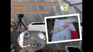 mars 1 er semis des Tomates et finalisation du Defi Tomates 2019 [upl. by Adnilam]