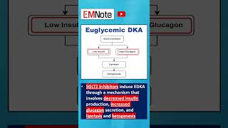 Euglycemic Diabetic Ketoacidosis EDKA [upl. by Kentiga]