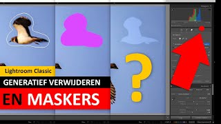 Lightroom Classic  Generatief verwijderen en Maskers Dutch [upl. by Yllib]