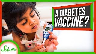 Could a Vaccine Prevent Type 1 Diabetes [upl. by Obadias]