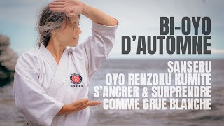 Passionnant Sanseru oyo renzoku kumite aperçu preview [upl. by Adnilem]